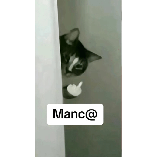 Random 10