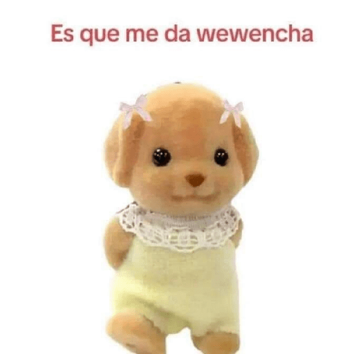 Frases 😹  7