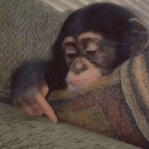 Monos 🐒 4