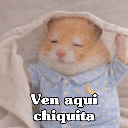 🧿 Hamster ratas roedores🐭🐁🐹🐀 21