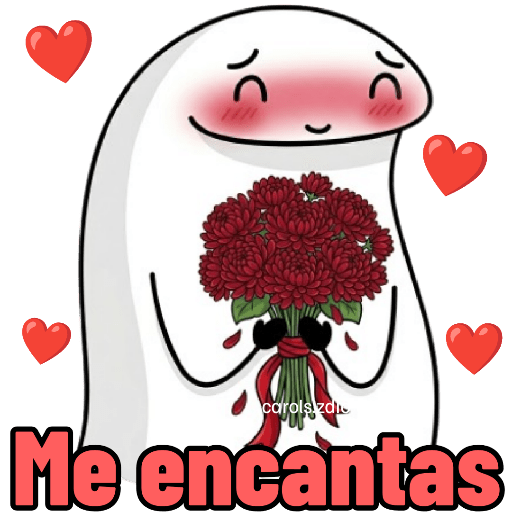🌹 Flork Flores Enamorado ❤️🌹 1