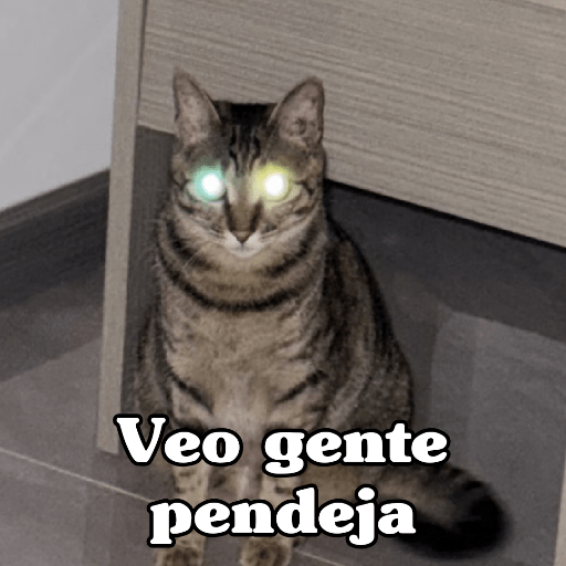 🧿 Dilo con michis 5😺 3