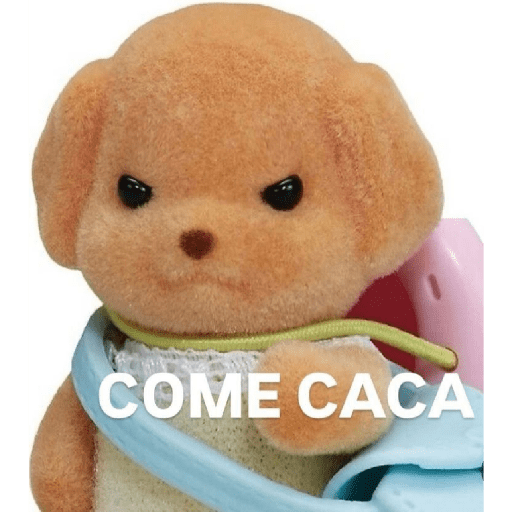 Frases 😹  9