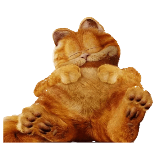 Garfield 2 🐱 12