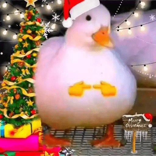 🎅🏻Reacciones Navideñas🎄 7