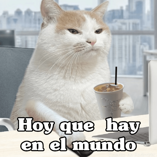 🧿 Dilo con michis 5😺 10