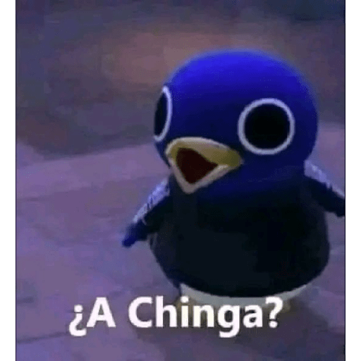 Frases 😹  10