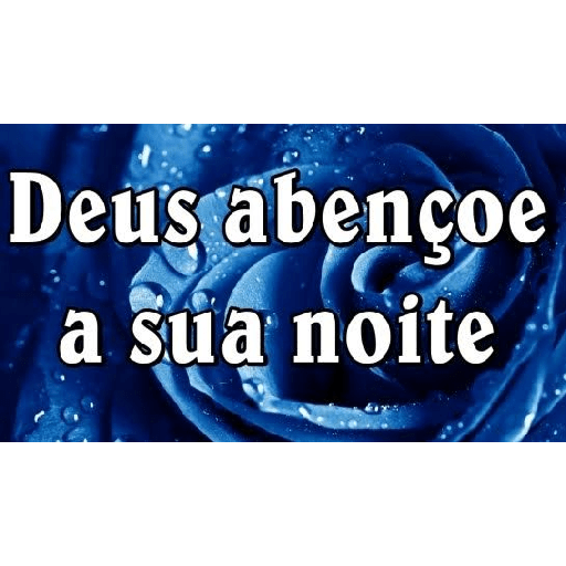 BOA NOITE 8
