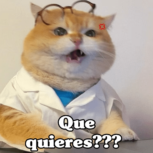 🧿 Dilo con Michis 4🐱 27