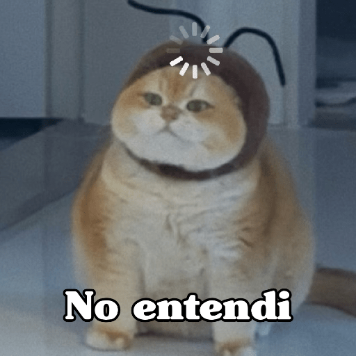 🧿 Dilo con Michis 4🐱 14