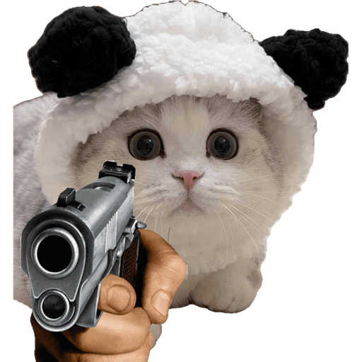 Gato fofos 2