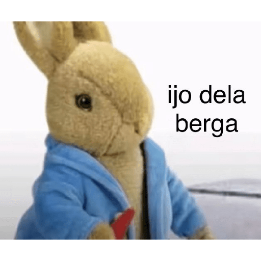 Frases 😹  3
