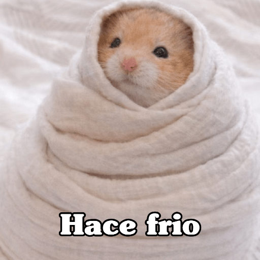 🧿 Hamster ratas roedores🐭🐁🐹🐀 18