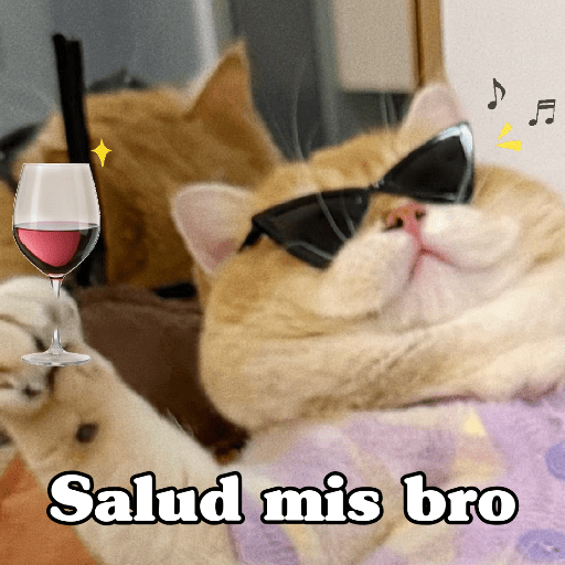 🧿 Dilo con Michis 4🐱 10