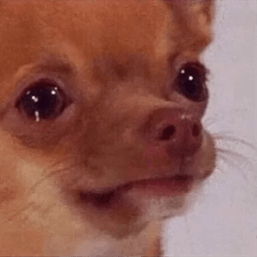 Triste 🥺 Sad 😭 Meme 4