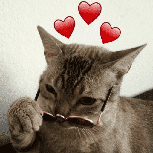 Gatinhos fofos 4