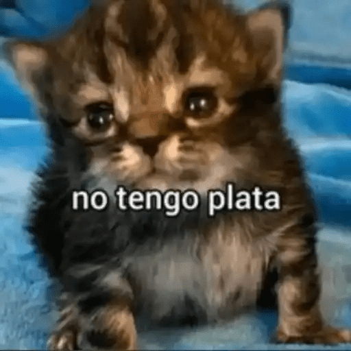 Algo Random 5👽👾  14