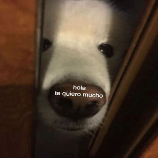 🐶Frases Doggy🐶 14