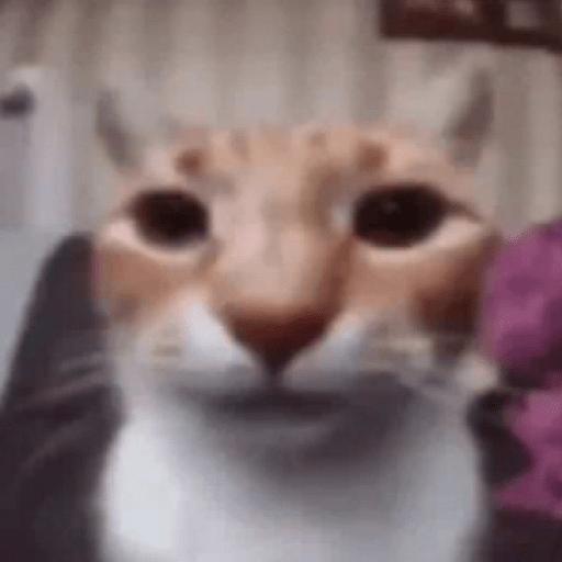 Gatitos 🙊 9