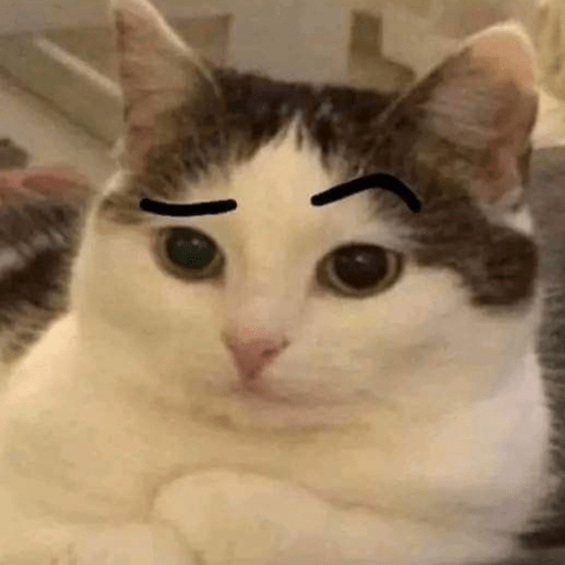 Memescat 🐾 13