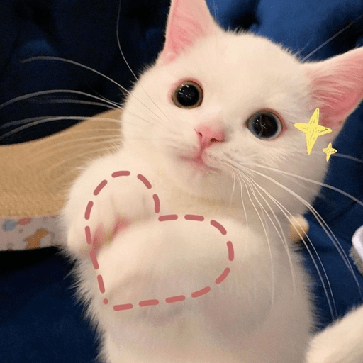 Memescat 🐾 5