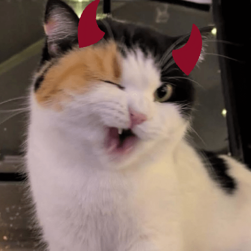 Gatos 10