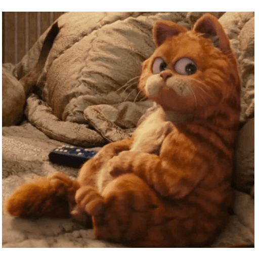 Garfield 2 🐱 5