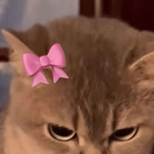 Gatitos 🎀 10