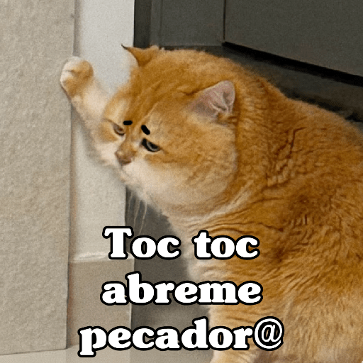 🧿 Dilo con Michis 4🐱 12