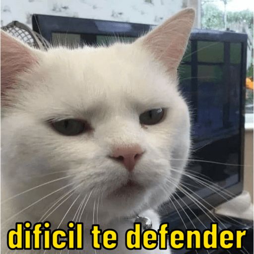 Memescat 🐾 9