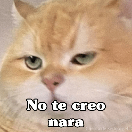 🧿 Dilo con Michis 4🐱 19