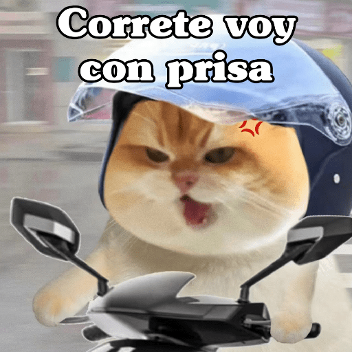 🧿 Dilo con Michis 4🐱 20