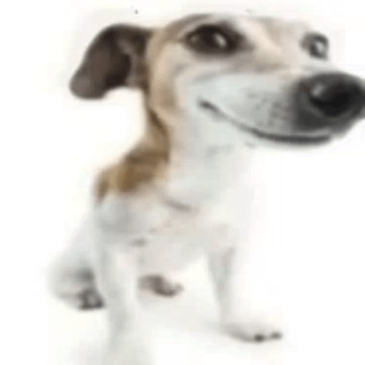 Mix Memes Random XDXD 🤣 9
