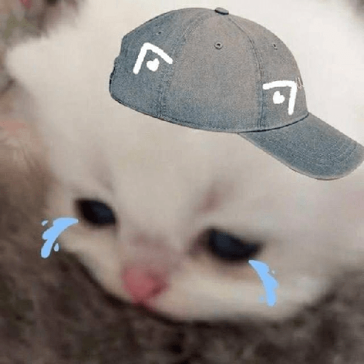 Gatito triste 🥺 6