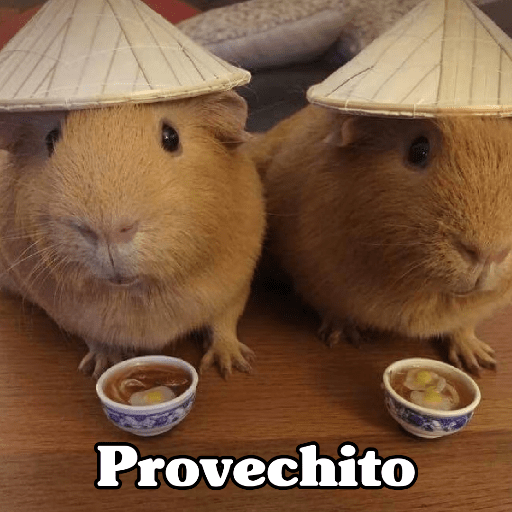 🧿 Hamster ratas roedores🐭🐁🐹🐀 6
