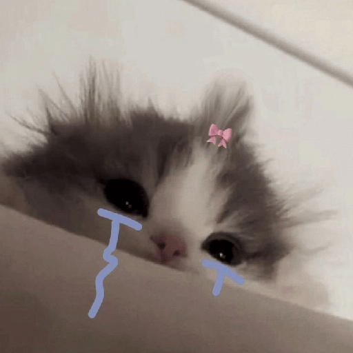 Gatito triste 🥺 1