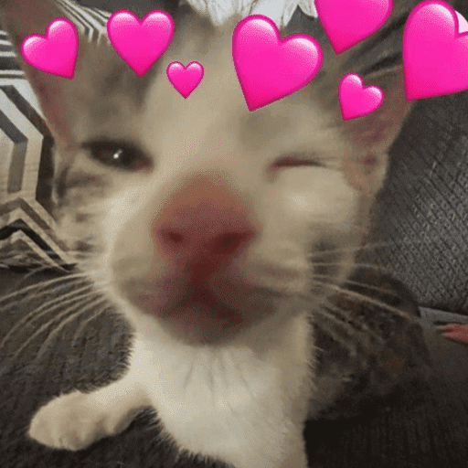 Gatinhos fofos 3