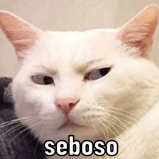 Memescat 🐾 8