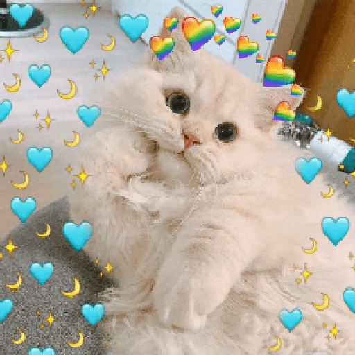 Gatitos 2 7