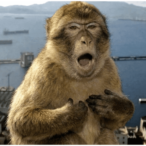Monkey 2 4