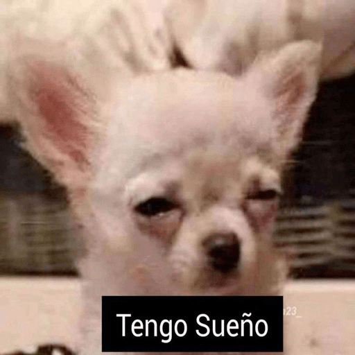 🐶Frases Doggy🐶 7