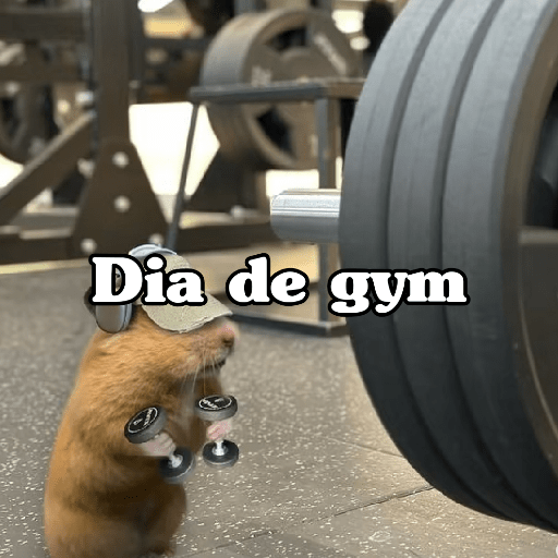 🧿 Hamster ratas roedores🐭🐁🐹🐀 15