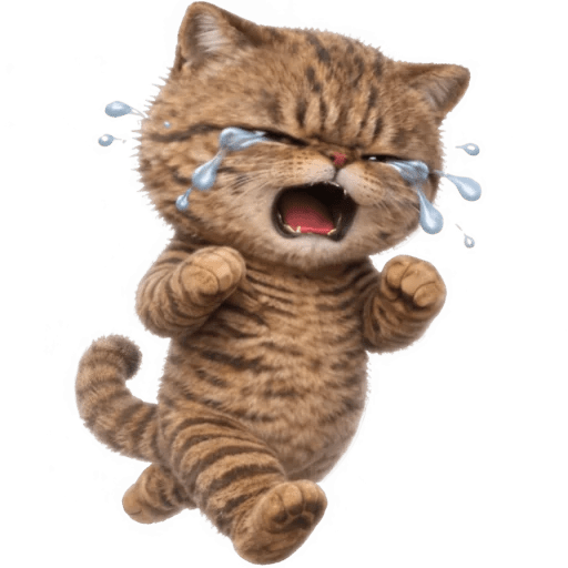 Gatos Funny 🤣😸 xdxd 🐈 4