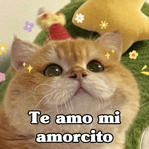🧿 Dilo con Michis 4🐱 16