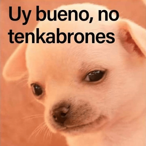 🐶Frases Doggy🐶 6