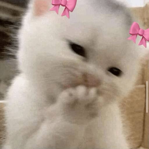 Gatitos 🎀 9