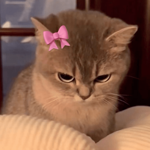 Gatitos 🎀 4