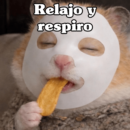 🧿 Hamster ratas roedores🐭🐁🐹🐀 13