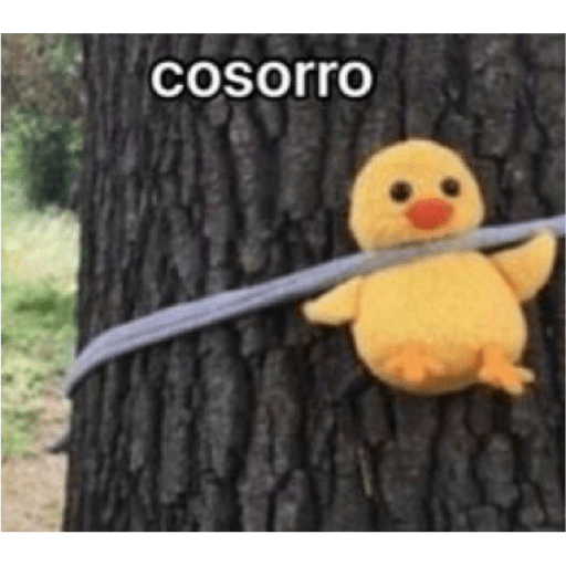 Perro pendejo  11