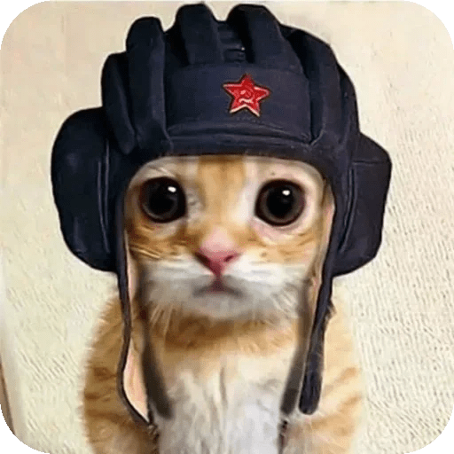 Mix Memes Random XDXD 🤣 4